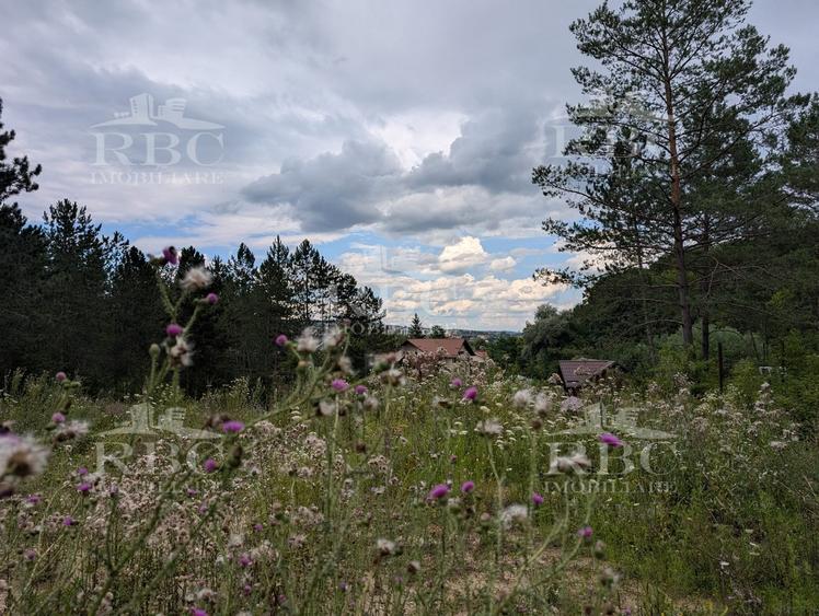 Teren intravilan pentru constructie casa in Cheile Baciului - 8