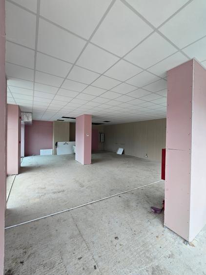 Spatiu Comercial pe Bld. Victoriei vizavi de Parcul Sub Arini - Hotel Mercure - 7