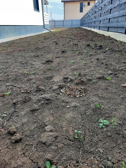 FARA COMISION casa 3 camere P+pod placa beton terasa beci la cheie merita vazuta - 23