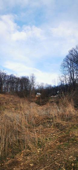 Teren Spitalul judetean pret redus 50% 16 euro mp 6000 mp - 3