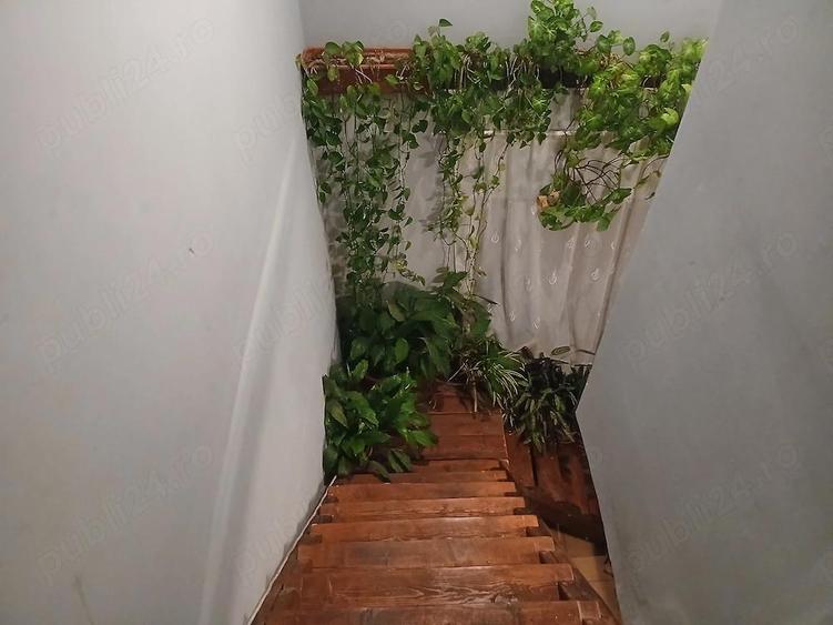 Casa la tara - 9