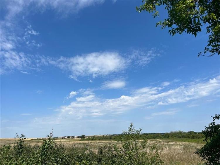 RECO Teren intravilan 3,9 ha -Les - 4