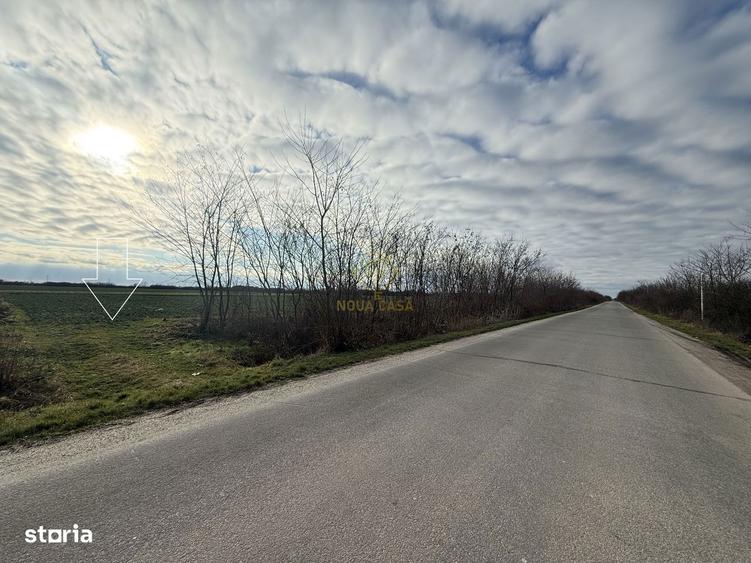 Teren 6600MP Cu Front Stradal 101 M La Intrare in Lazuri Str Botizului - 4