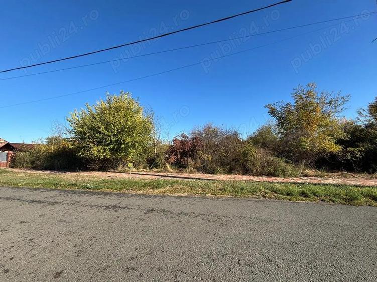 Proprietar vand teren 1439 mp pe strada DEJ, oras Sanicolau Mare - 1