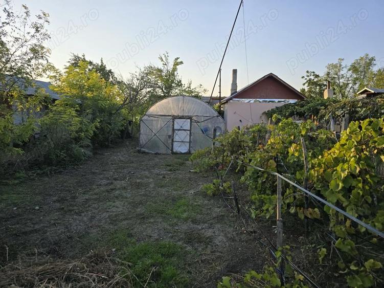 Casa la tara in Jud. Buzau - 7