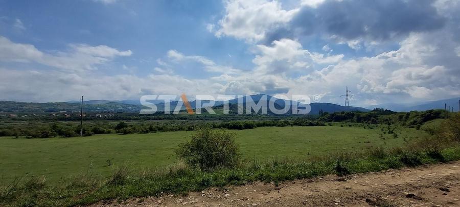 Teren Intravilan Tarlugeni - 9