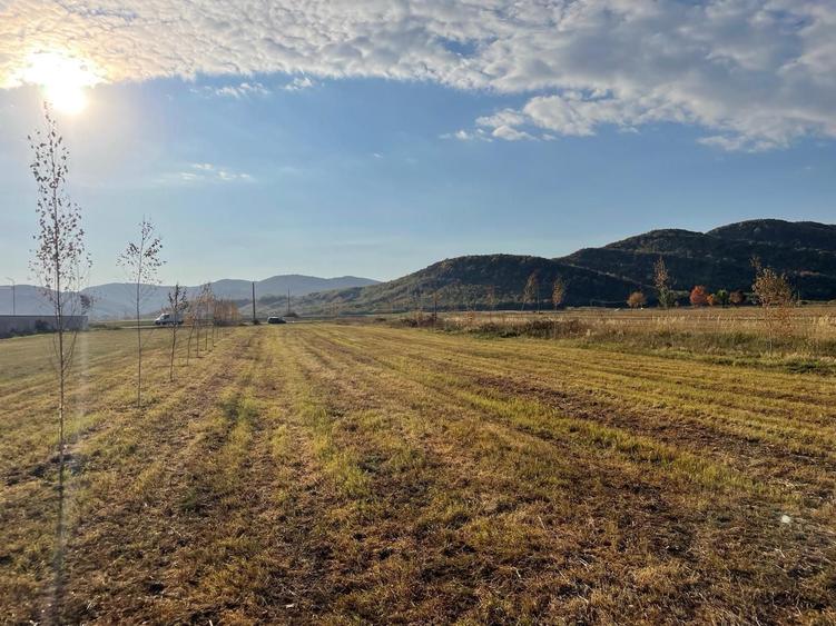 Vanzare teren intravilan 3000 mp, deschidere 28 m cu utilități Măgureni, Prahova - 3