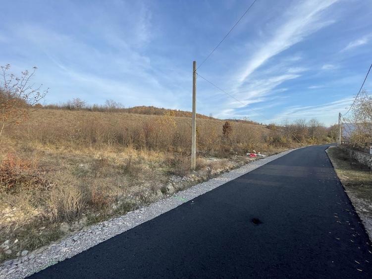 Teren intravilan de vanzare in localitatea Eselnita, strada Salcamilor - 2