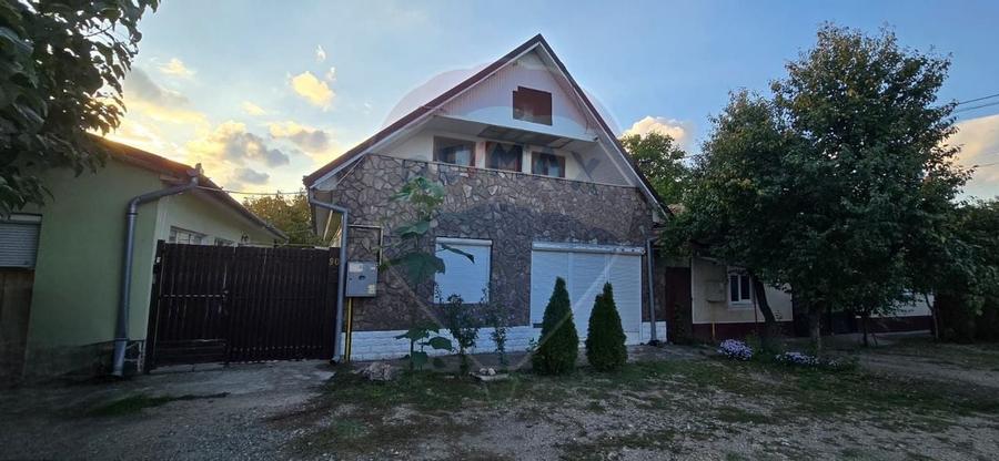 PENSIUNE IN CHISINEU CRIS - 1