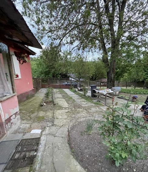 Casa cu teren intravilan 3100 mp - 5