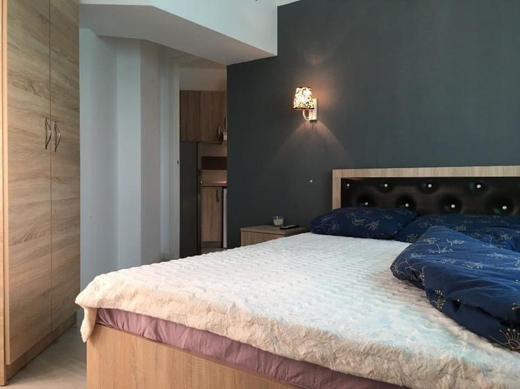 Apartament 2 camere de închiriat – Zonă Armeneasca-Rosetti - 5