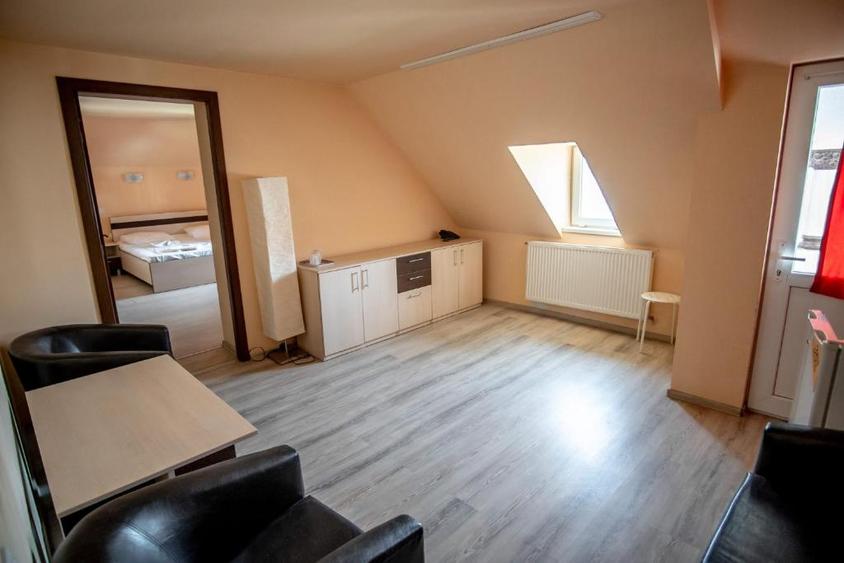 Vanzare Vila Panseluta - Pensiune/Vila turistica deosebita Pucioasa - 14