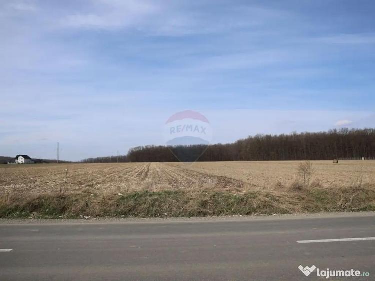 Teren 9,740mp Suceava / Strada Principala - 3