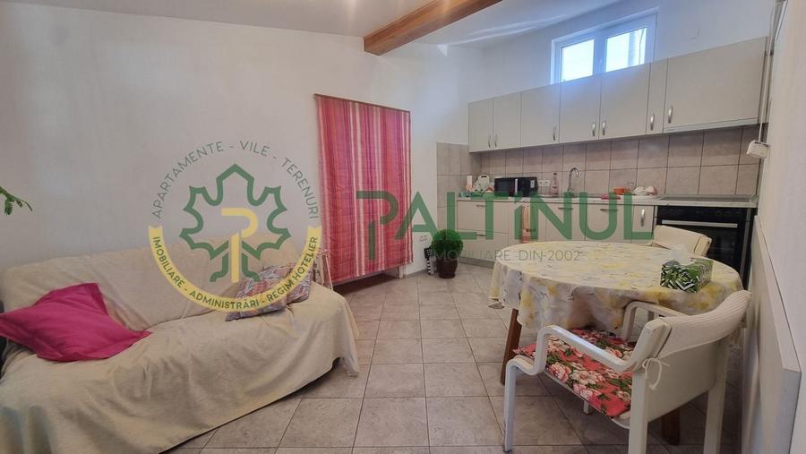 Casă spațioasă &icirc;n Turnișor - teren 584 mp, apartament secundar, terasă - 11