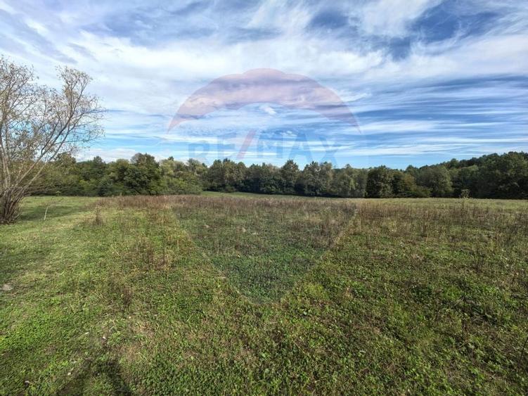 Teren 5,600mp Finteusu Mic / Strada Principala - 8