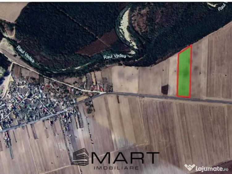 Teren arabil sat Cucueti - 1