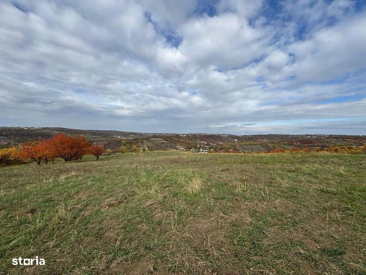 Teren intravilan Dealuri Oradea 3649 mp - 2