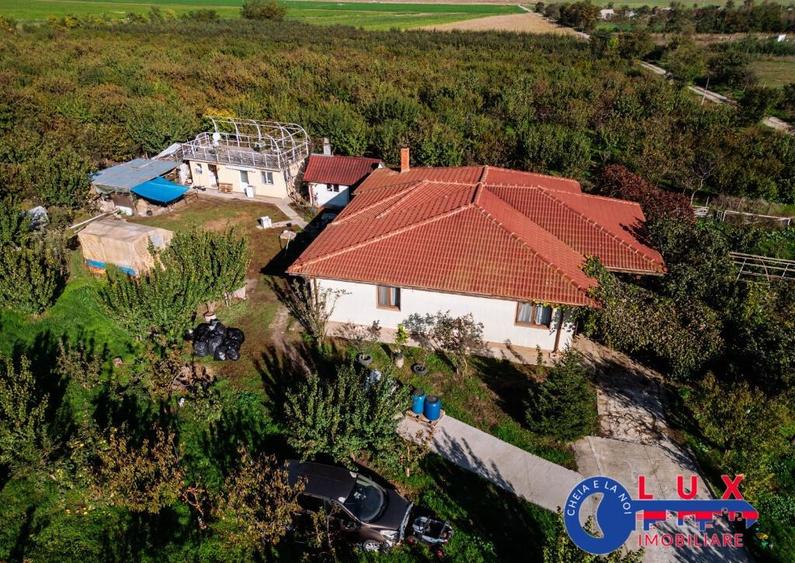 ID 7785 LIVADA SABANGIA DE VANZARE - 15