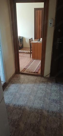 Apartament 2 camere Alexandria - 1