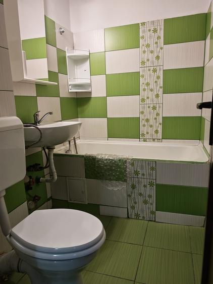 Dristor - Park Lake, intersectie Camil Ressu cu Liviu Rebreanu - 4