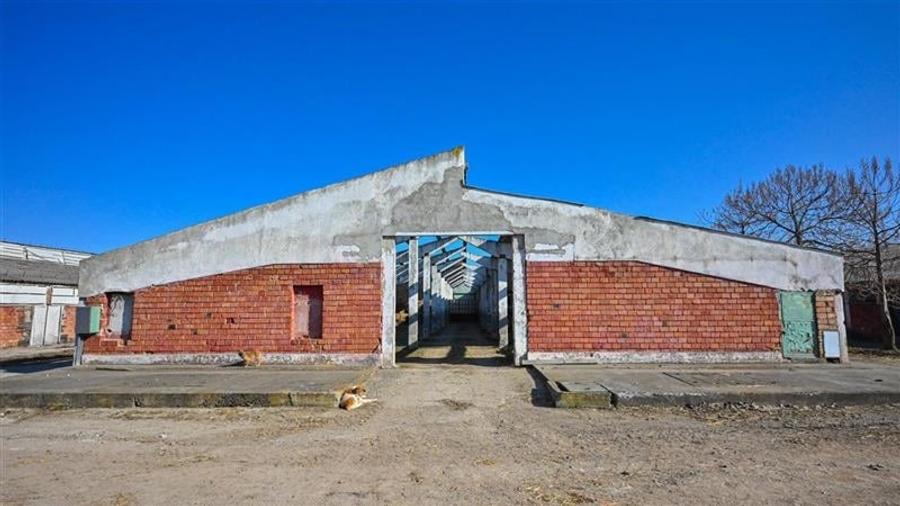 Ansamblu agrozootehnic cu renume,dotat +valoare exceptionala+potential versatil, - 35