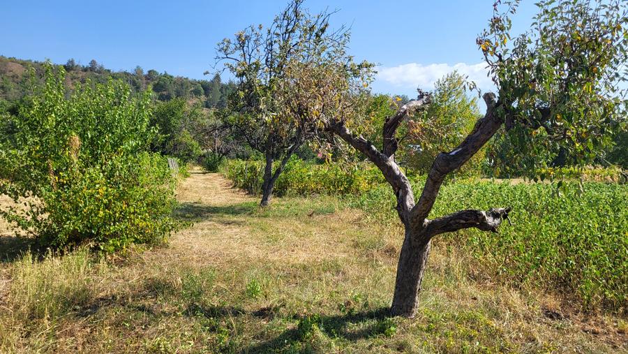 Casă de vânzare în mediul rural – liniște, natură și confort - 18