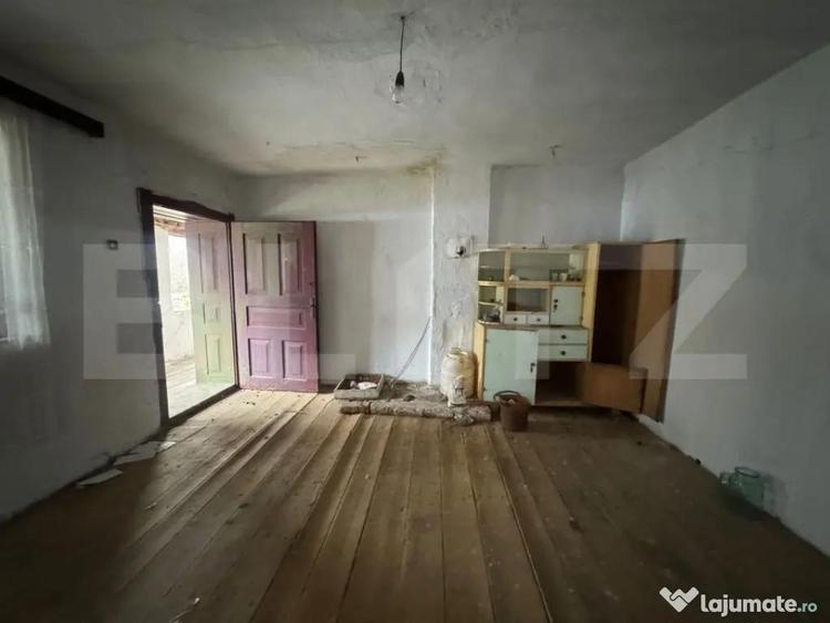 Casa cu 2 camere in Densus, 20 km de Manastirea Prinslop - 6