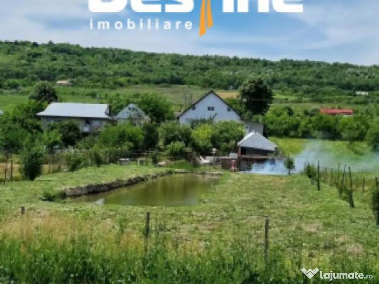 Investi?ie, Casa 170 mp cu 2400 mp teren cu IAZ la asfalt - 5