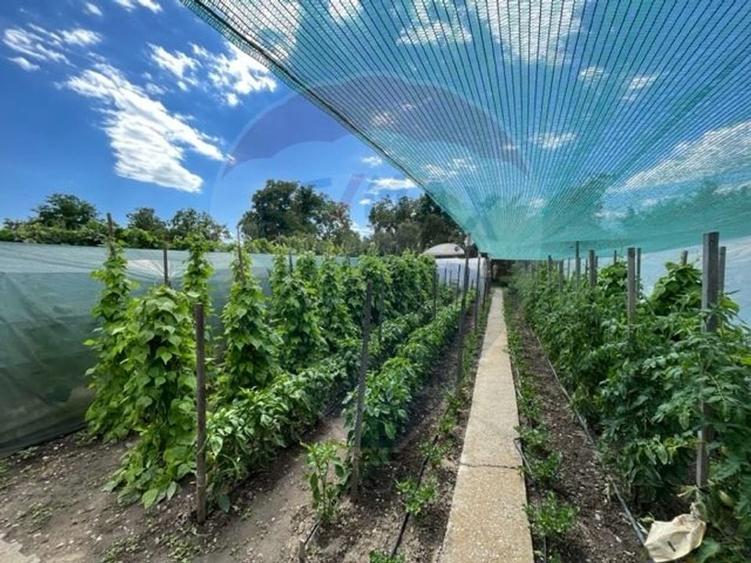 Casă  str. Progresului , Sebes, destinatie : uni/multifamiliala - 12