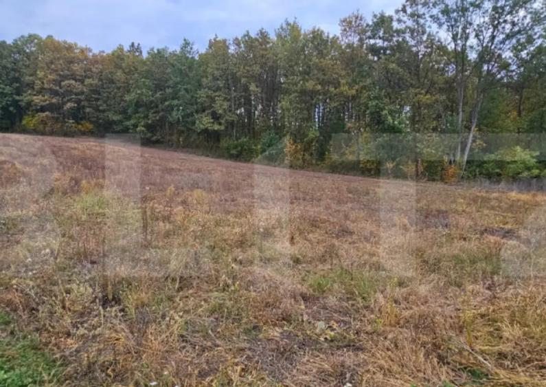 Teren intravilan parcelat - 2882 mp - Sat Bejan - 3