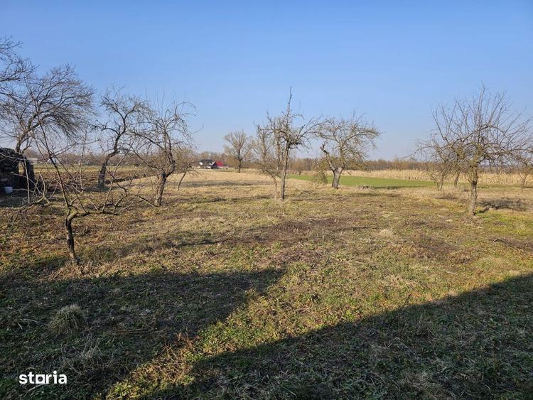 Casa batraneasca, teren 5400 mp, Fratautii Vechi - 5
