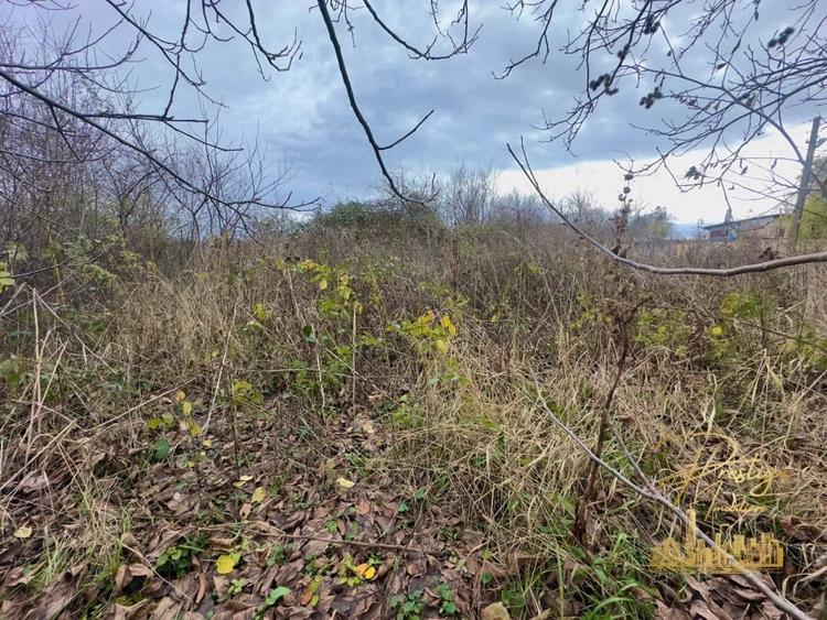 Casa P+M si teren de 1200 mp de vanzare in Uileacu de Munte - Bihor - 21