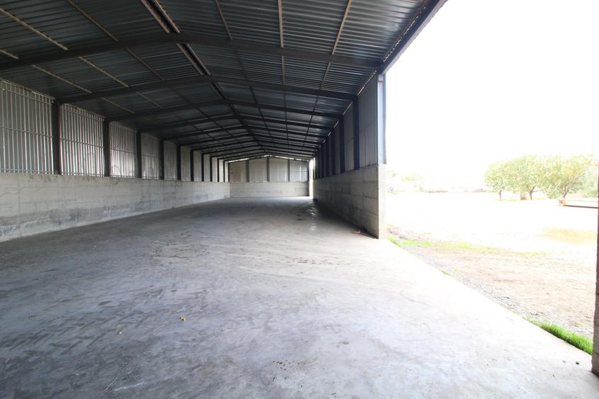 Baza de cereale in functiune , 4500 mp intravilan + 2 depozite (aprox 1000mp) - 7