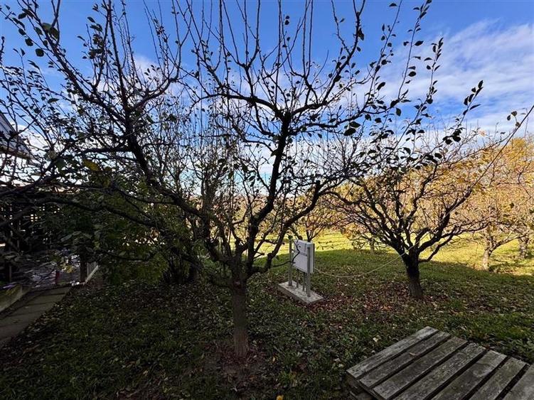 Proprietatea deosebita cu 4000mp teren, Barnova - 7