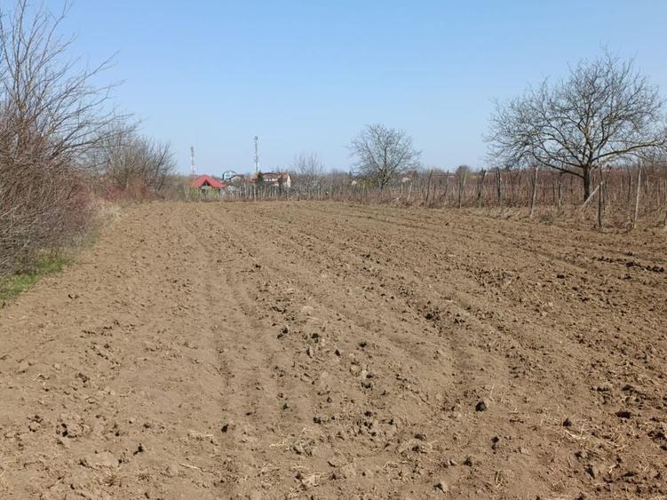 Teren extravilan 2400 mp in Afumati - 1