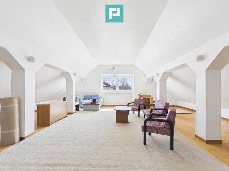 Casă cu 8 camere pentru investiții în Maciova CS - 11