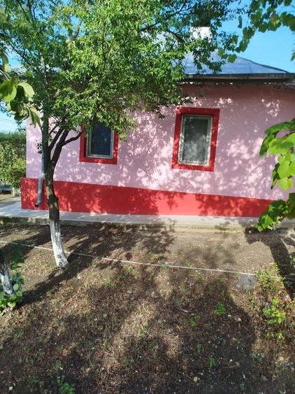Proprietar vad casa Comuna Bucsani sat Obedeni,jud Giurgiu - 3