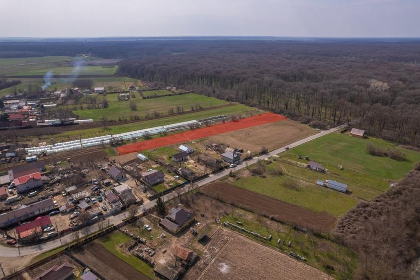 NUCI - BALTA NEAGRA, LOT 3900 MP, LA PADURE! - 9