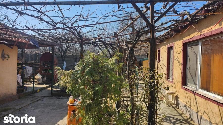 Casa 3 camere, Viile Noi ,teren 461 mp - 5