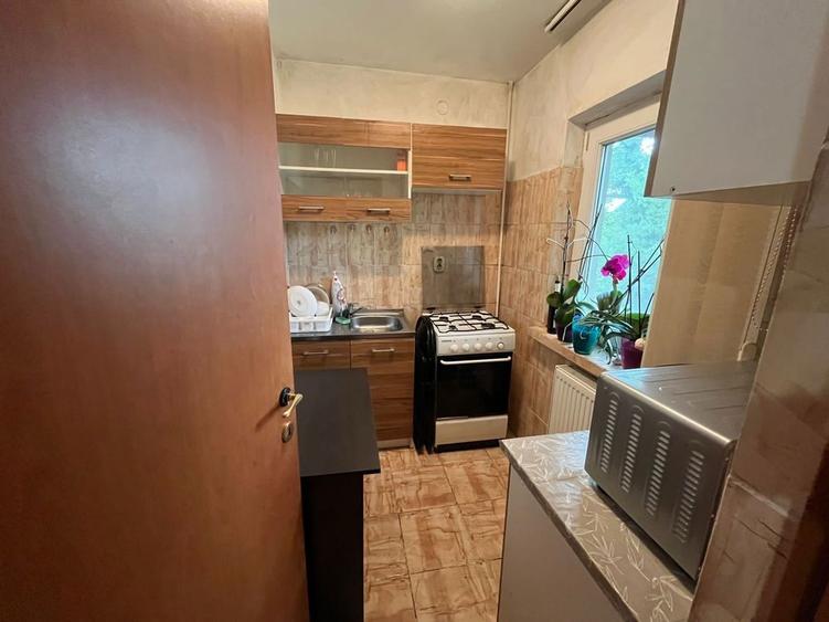 Garsoniera Lapus Arges (zona frigorifer ) - 5