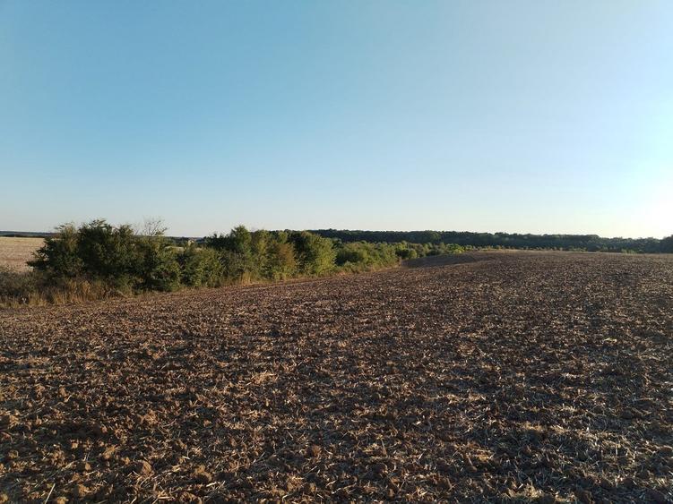 Ciolpani, spre Izvorani - COR, vanzare teren 5000mp. - 17