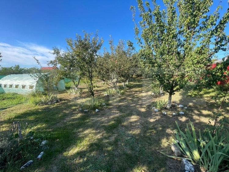 Casa 6 camere, 229 mp, scara exterioara, zona Dorobanti - 4