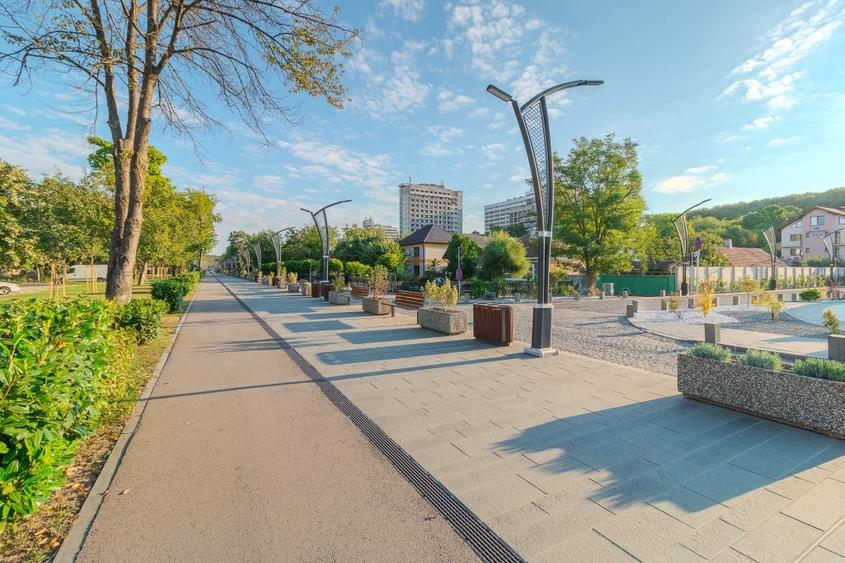 Spațiu versatil pentru business în Băile Felix - 6