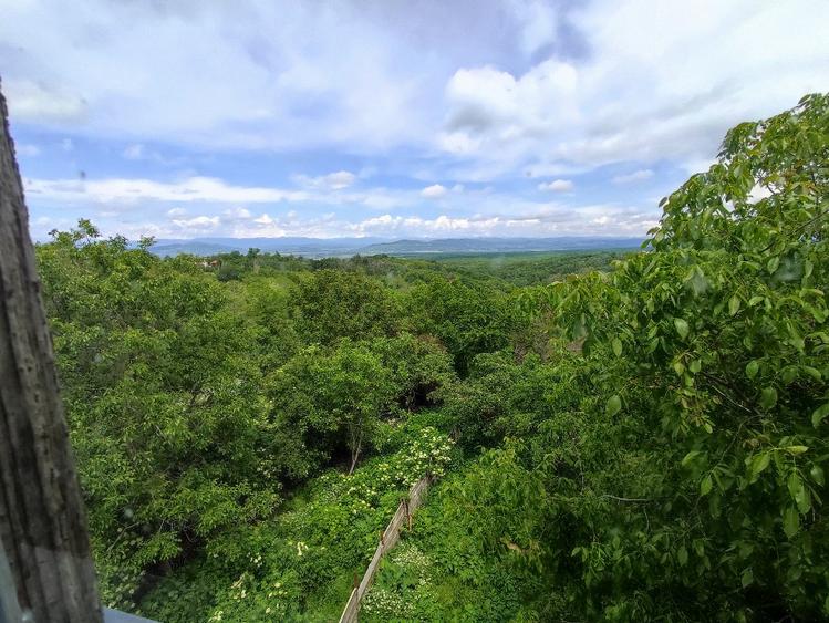 Proprietar: Vilă 480mp pe Drumul Vinului, Ideal Investiție / HoReCa - 3