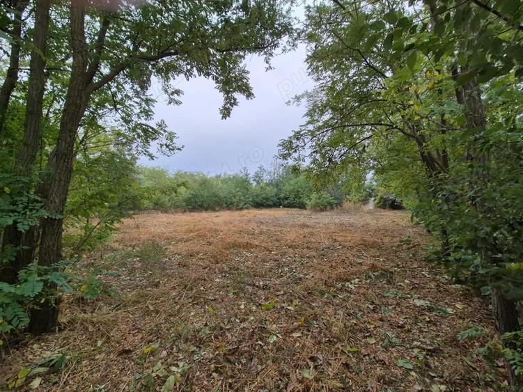 Casa cu teren 3.682 mp, sat Radu Voda (com. Lupsanu, jud. Calara?i) - 2