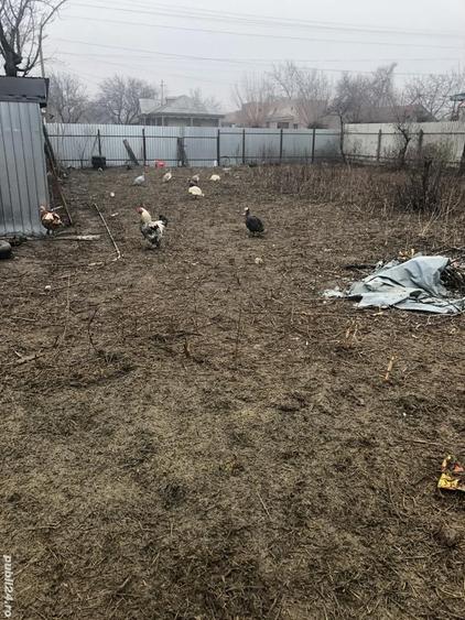 Inchiriez teren intravilan - 2