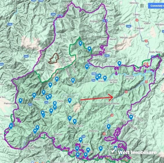 Se vinde teren cat un munte in Apuseni - Poiana Horea - 19