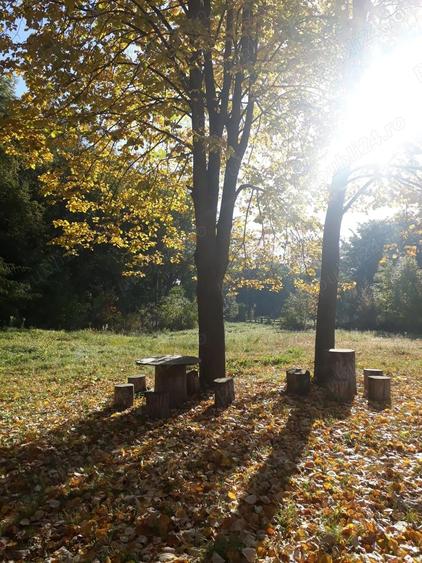 Cabana de lemn Racoasa, judet Vrancea - 9