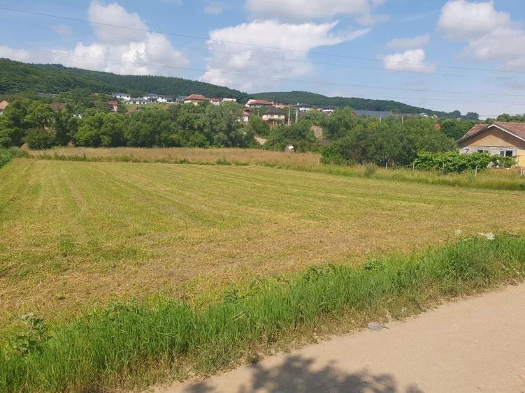 Vand teren intravilan pentru constructii Popesti - 4