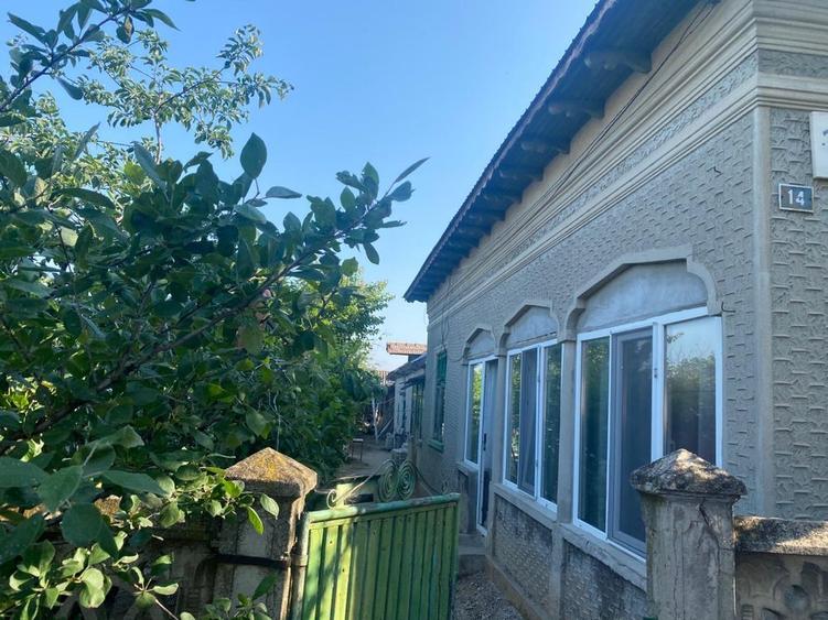 Vand Casa cu curte 851 mp 15 minute de Alexandria - 8